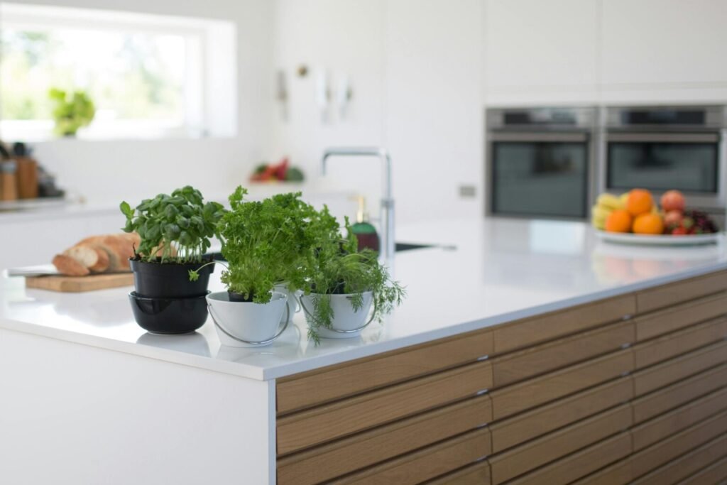 kitchen with indoor plants