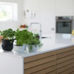 kitchen with indoor plants
