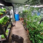 Johnny Weiss Edibleroom