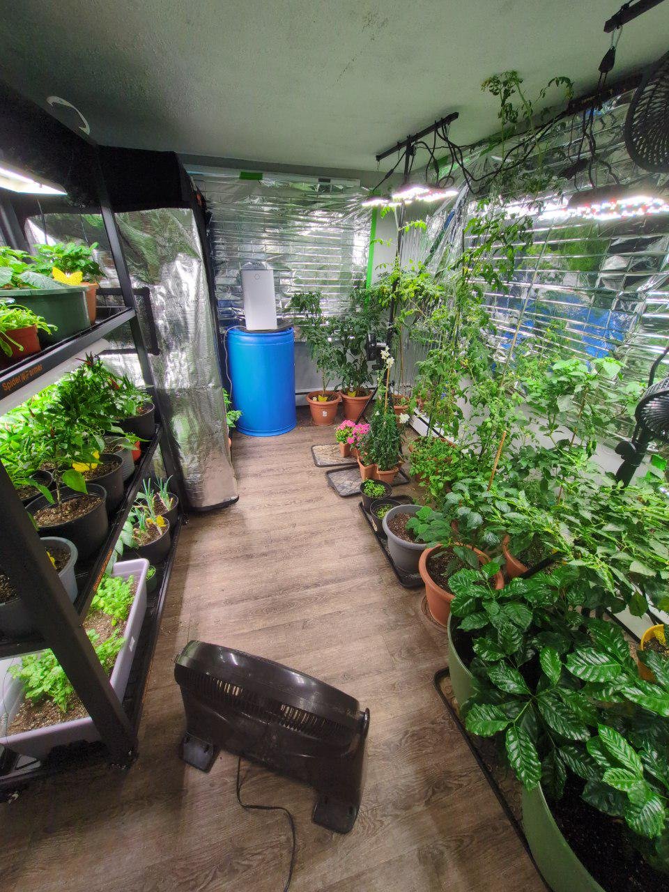 Johnny Weiss Edibleroom