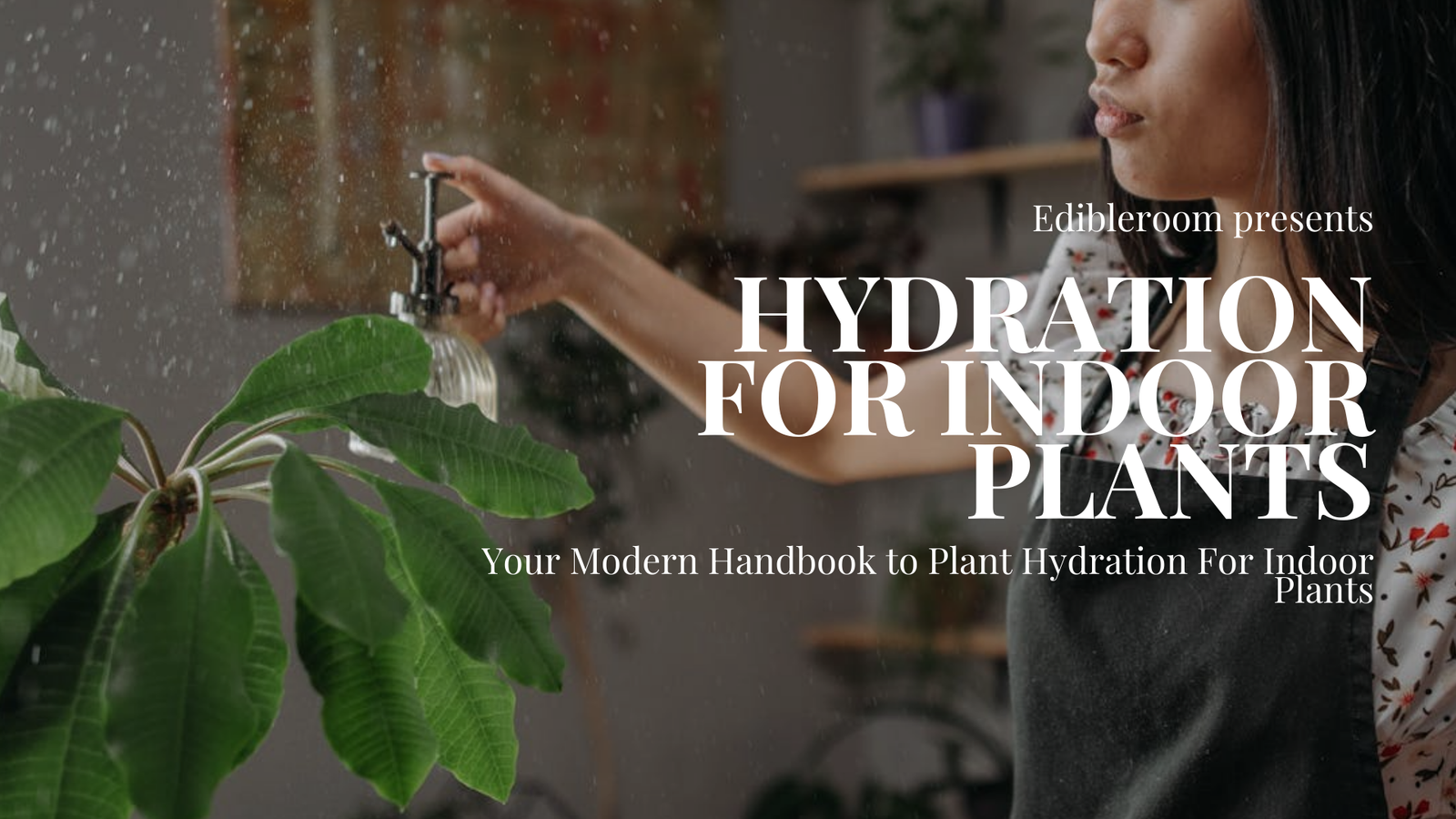 [Edibleroom] Hydration For Indoor Plants