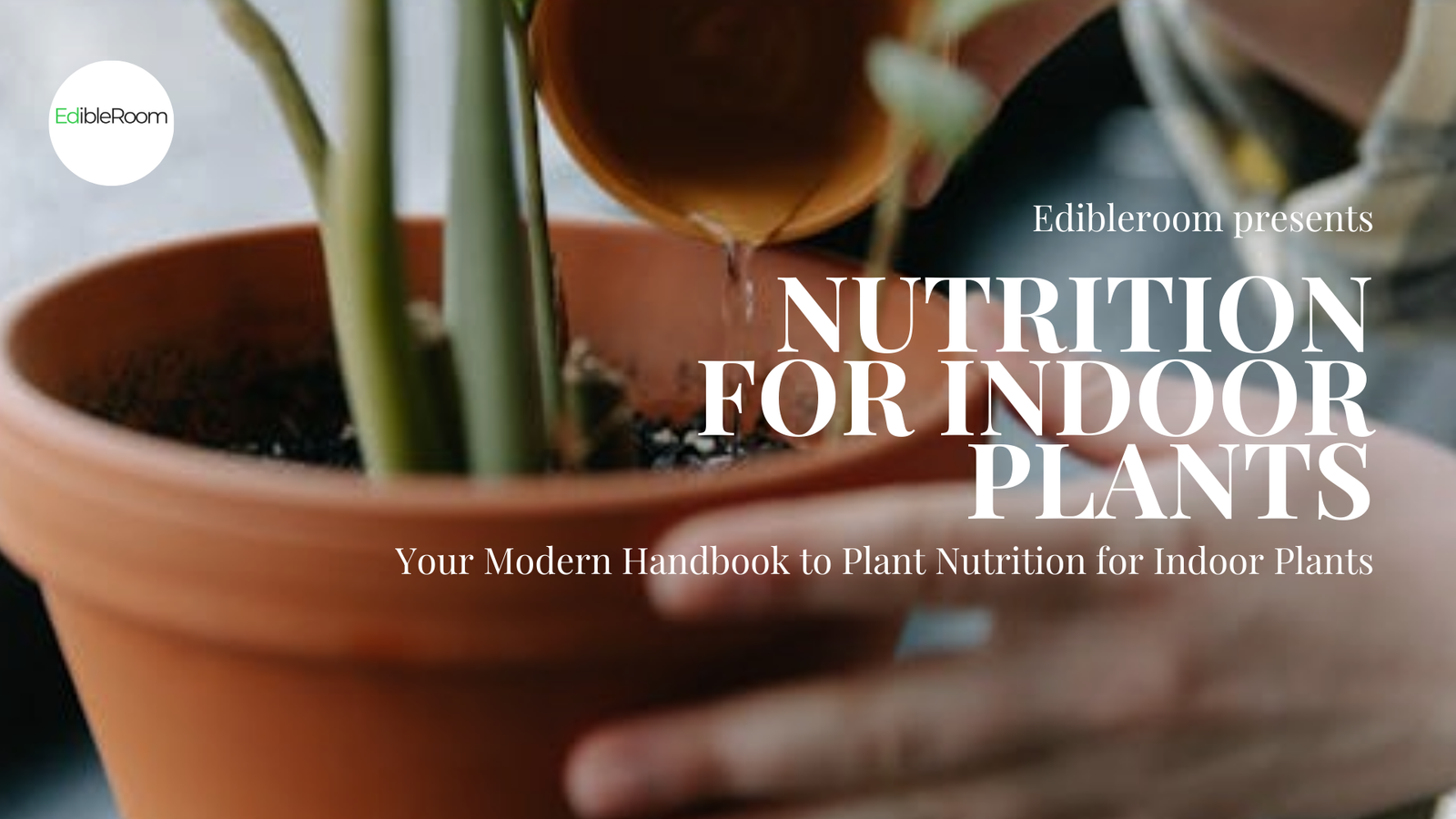 [Edibleroom] Nutrition For Indoor Plants