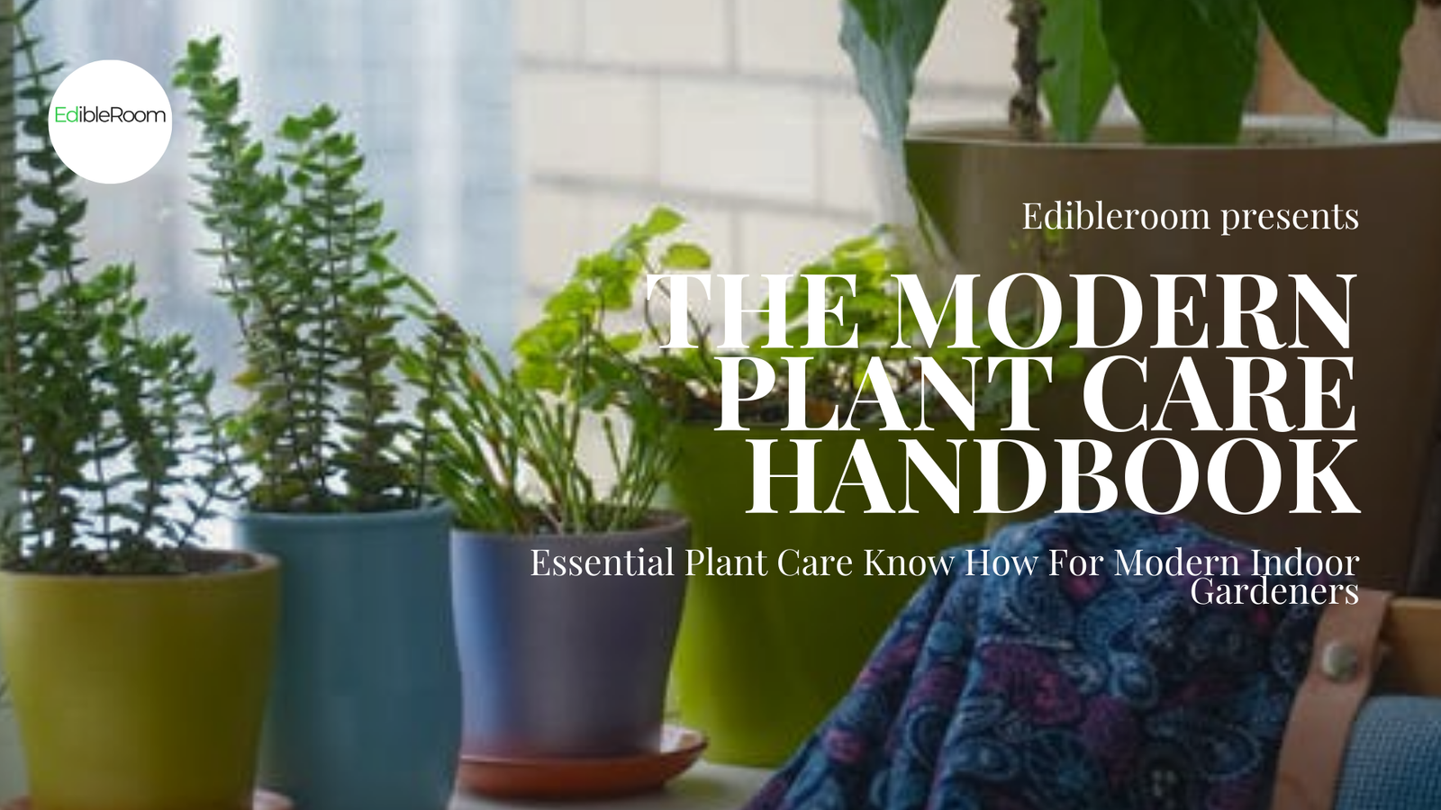 Modern Plant Care Handbook Cover