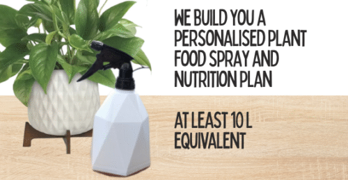 Personalised Plant Food Spray